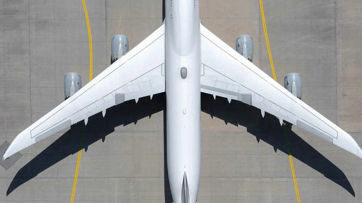 DTU Builds Coral-Inspired Fuel Cell